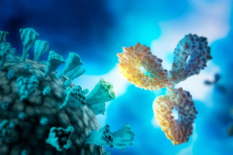 A Tiny Antibody Just Crushed the Coronavirus’s Secret Weak Spot