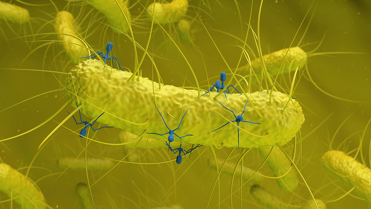 Hidden Virus Found in Gut Bacteria Is Linked to Colorectal Cancer : ScienceAlert