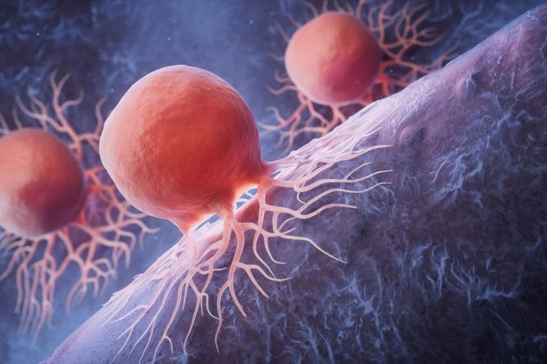 Scientists Find a Sneaky Way To Starve Cancer Cells Without Harming Healthy Cells