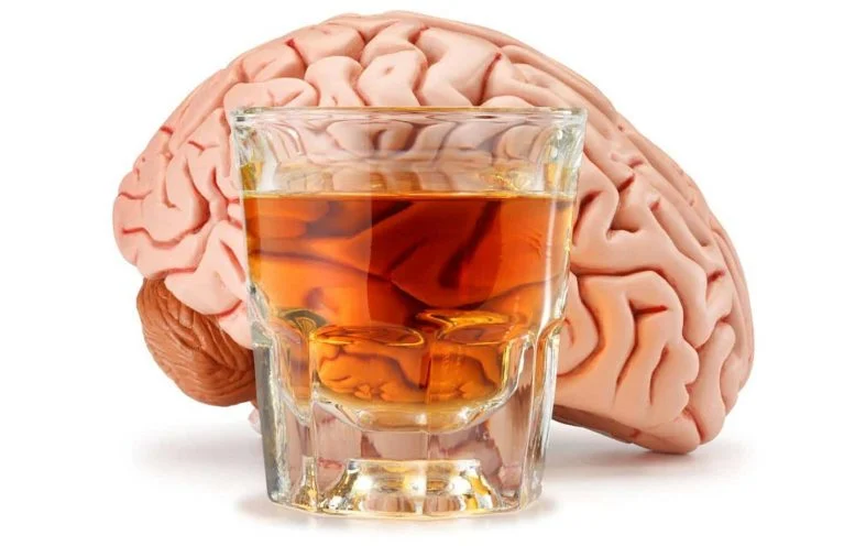 The Brain May Be Wired for Drinking Before the First Sip