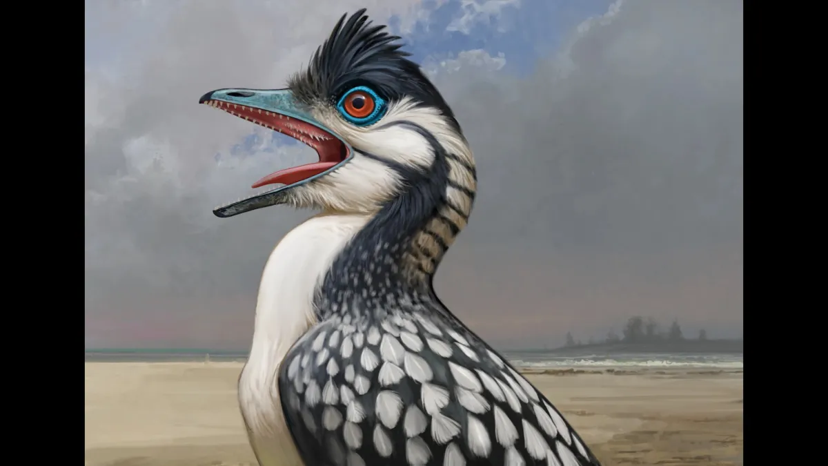 Weird bird mouths go all the way back to the first avian dinosaur