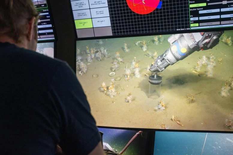 Deep-Sea Microbes Reveal How Complex Life Began