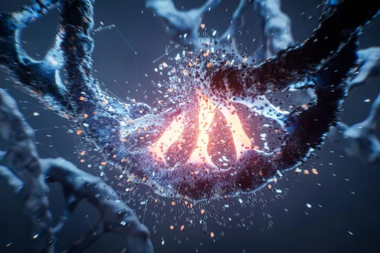 CRISPR Meets Caffeine: Scientists Develop New Approach to Cancer Treatment