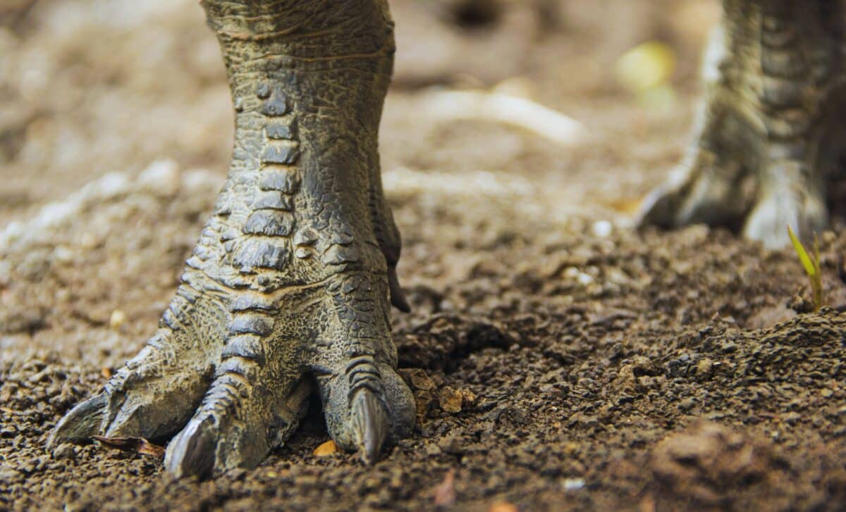Dinosaurs Were Speed Demons, New Fossil Footprints Prove They Could Sprint Like Athletes!