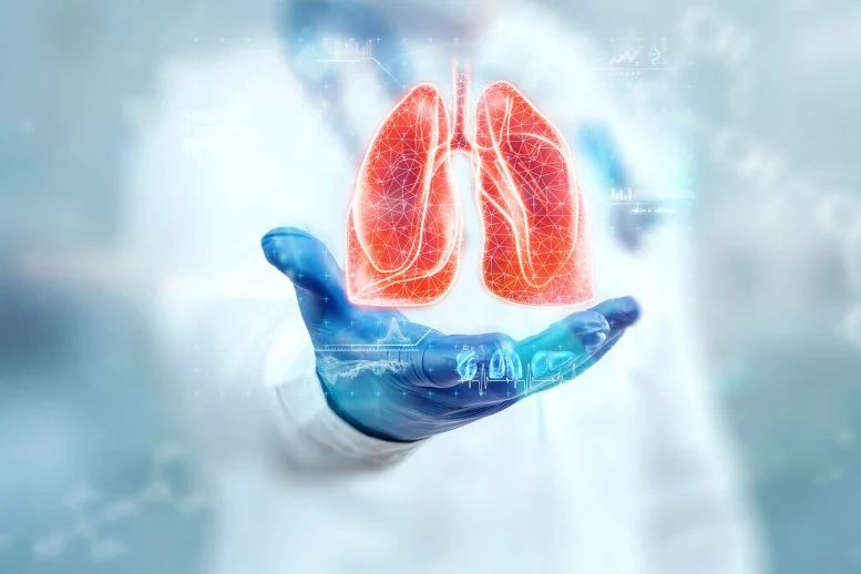 A Breakthrough Discovery Could Help Lungs Repair Themselves