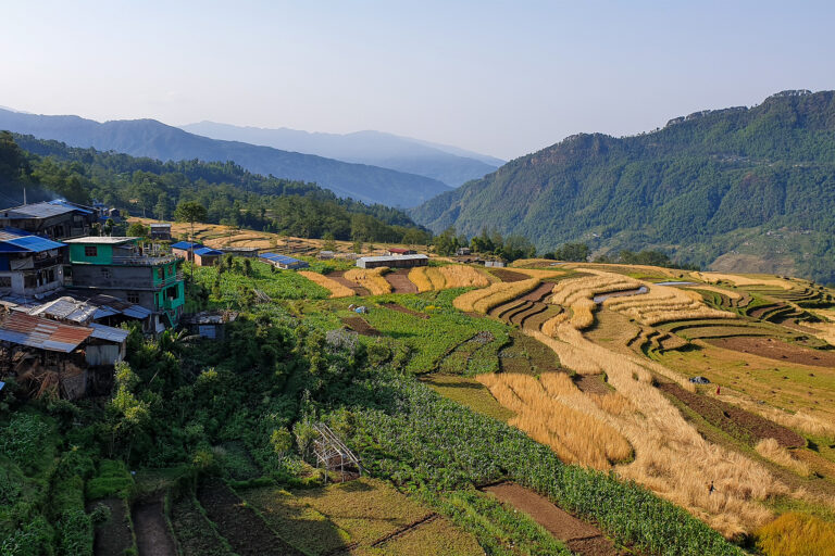 Nepal’s community forests sit on unsold timber