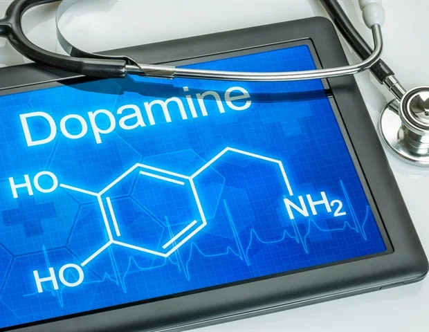 Dopamine bursts drive faster movement during happy moments