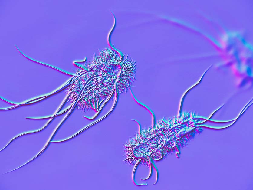 Gut Microbes Actively Support Immunity in People Living with HIV – Life Sciences | Weizmann Wonder Wander