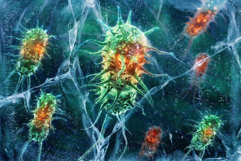 Scientists Warn: 5,000-Year-Old Ice Cave Bacteria Resistant to Modern Antibiotics