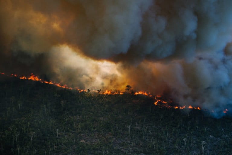 When nature becomes a security risk