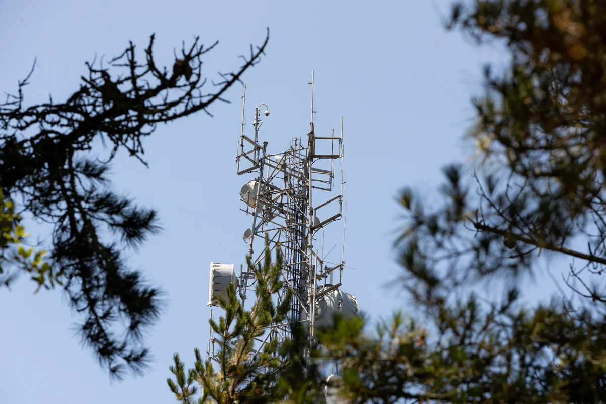 How new AI technology is helping detect and prevent wildfires