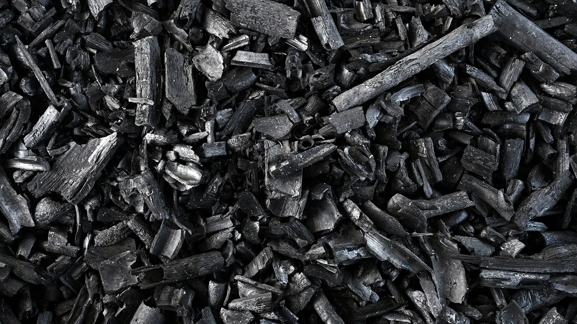 Engineered biochar turns sunlight into a powerful cleanup tool