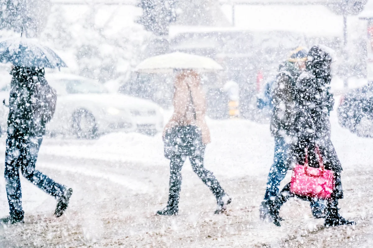 What is a blizzard? | Scientific American