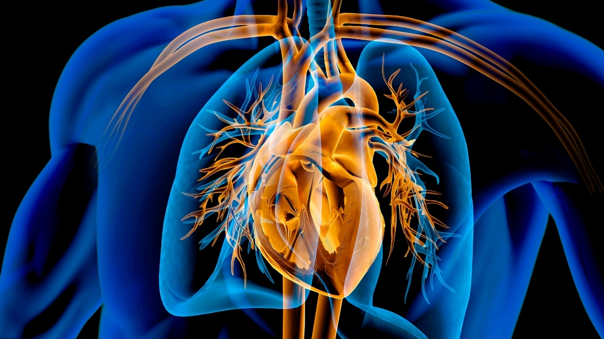 Semaglutide Pill Shows Heart Benefits in One Key Group, Study Finds : ScienceAlert