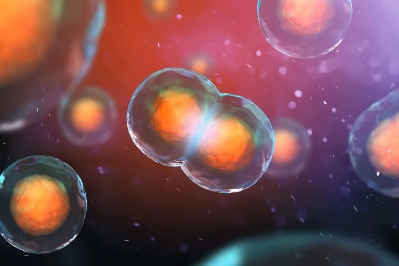 This Hidden 3D DNA Structure Changes What We Know About Cells