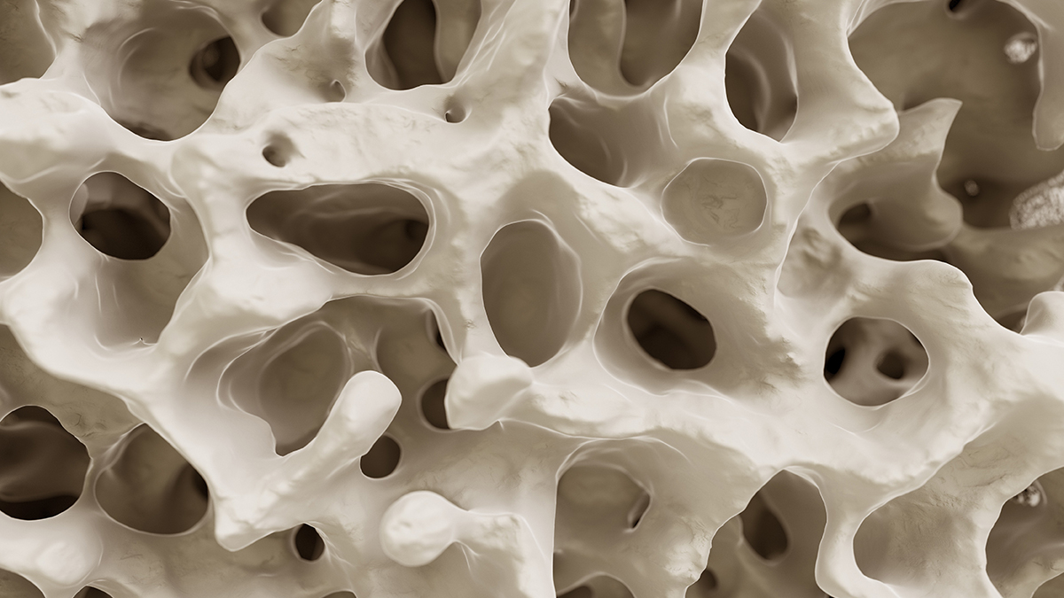 Breakthrough Study Reveals The Secret of How Exercise Fights Osteoporosis : ScienceAlert