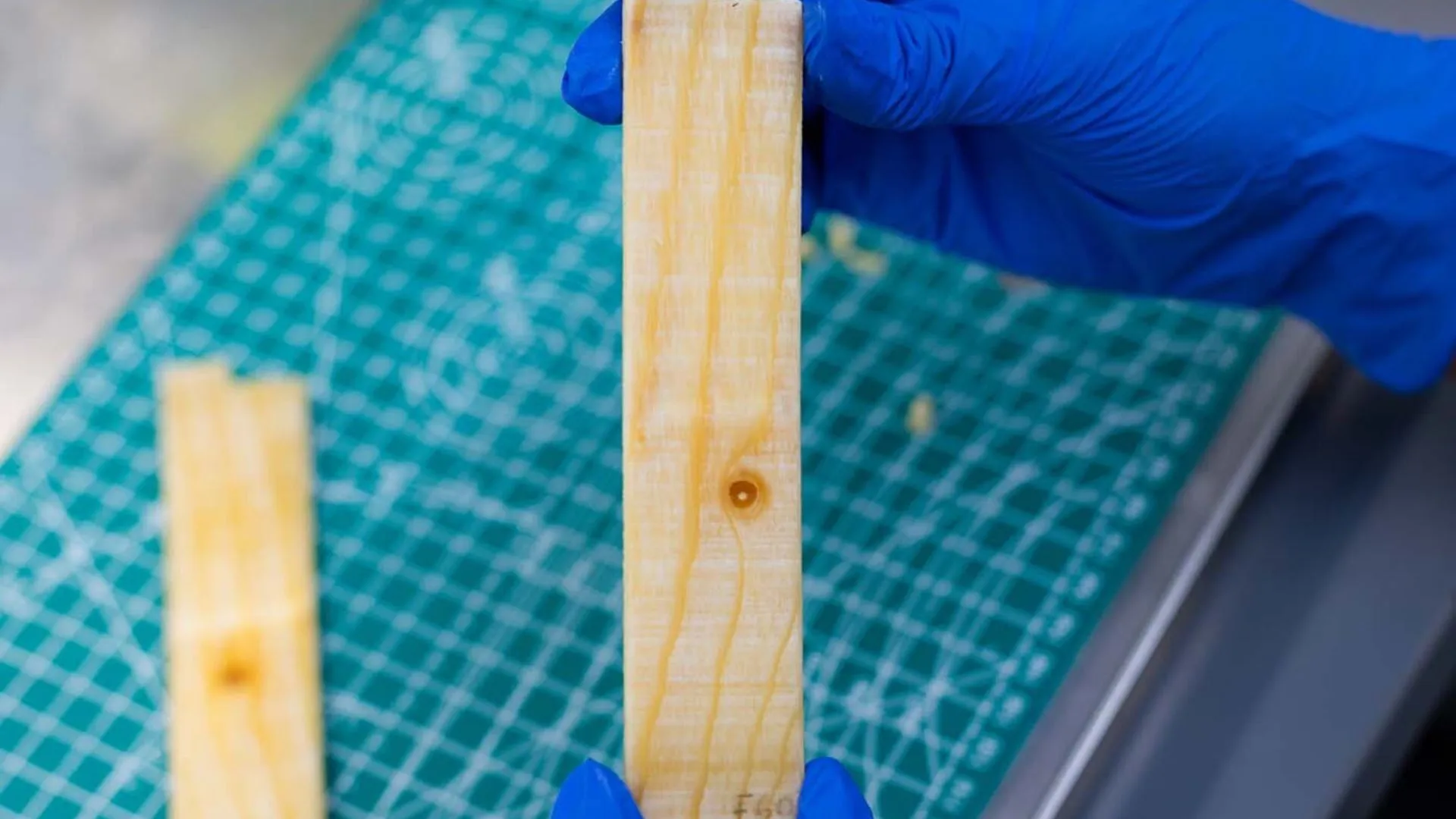 New wood-based material stores and releases heat without electricity