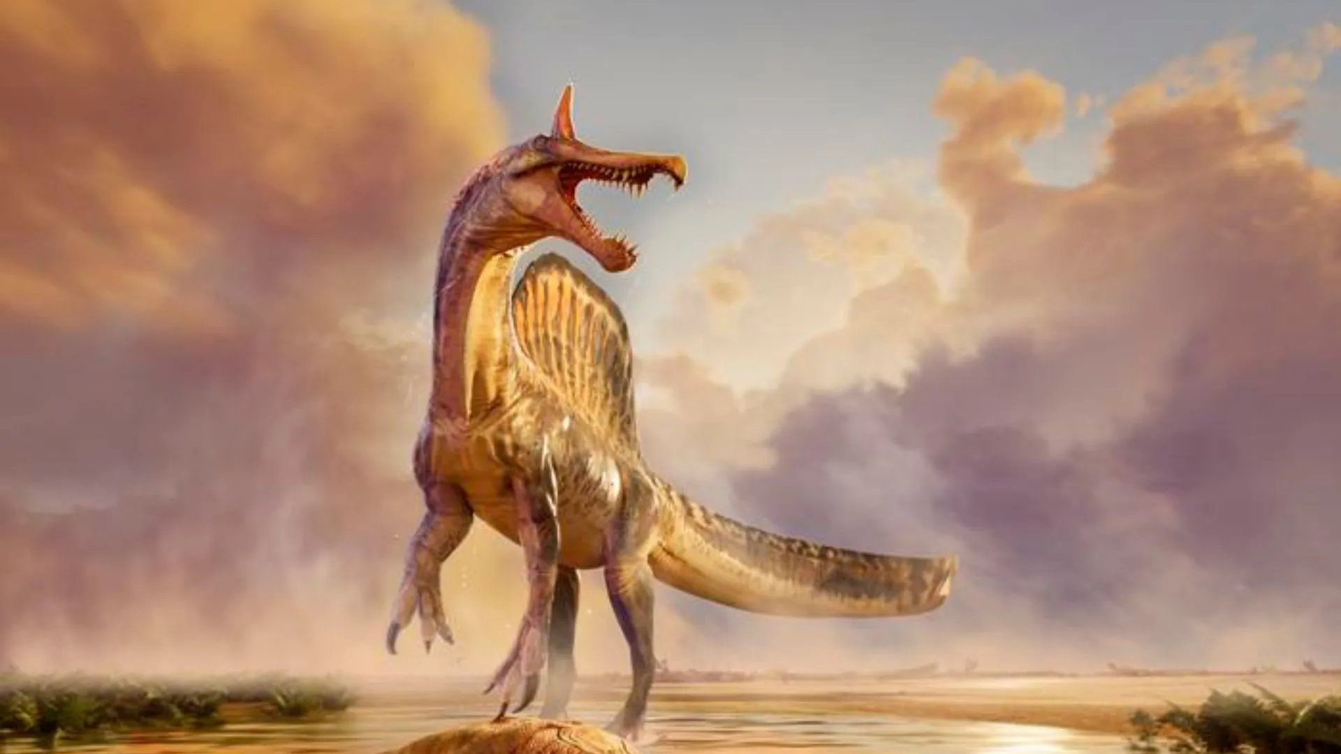 70-year-old clue leads to discovery of new dinosaur species in Sahara