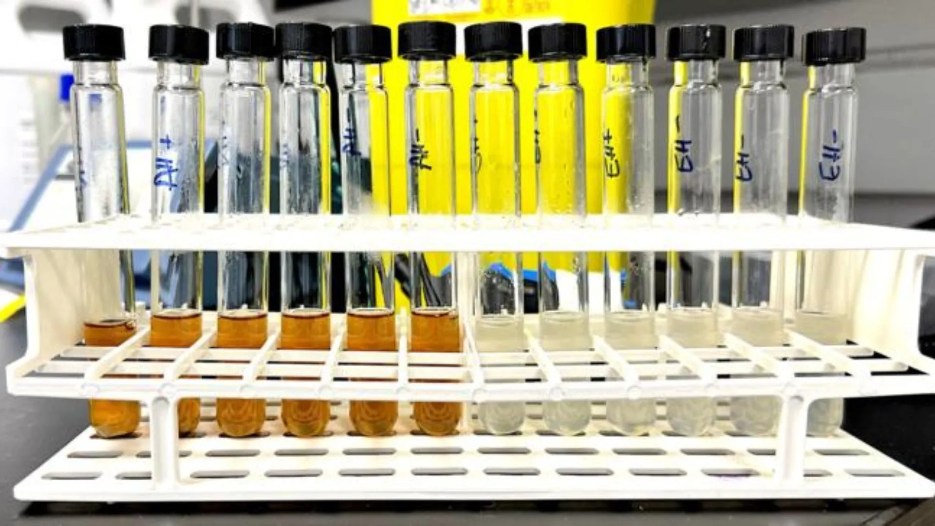 Waste bread could replace fossil fuels with carbon-negative chemistry