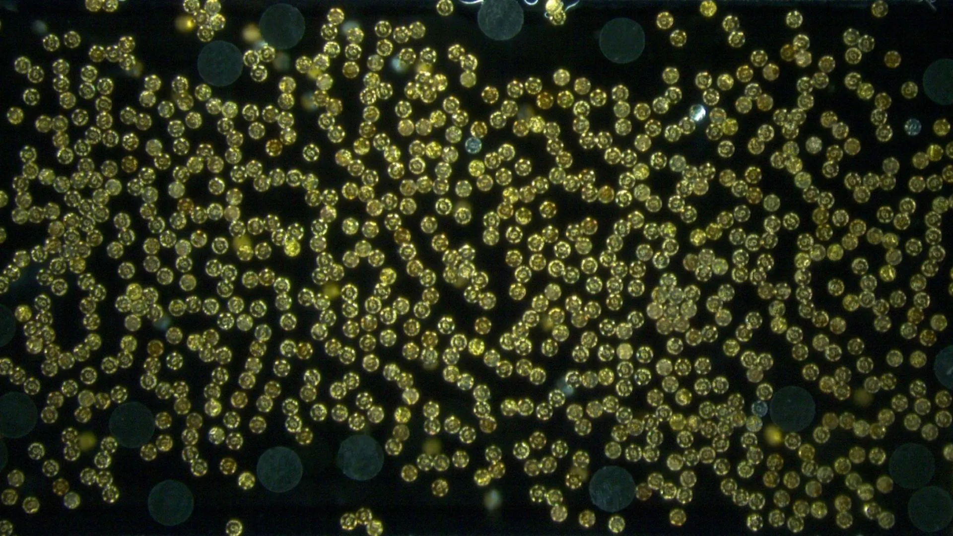 Tiny robots move 45,000 times heavier objects using liquid currents