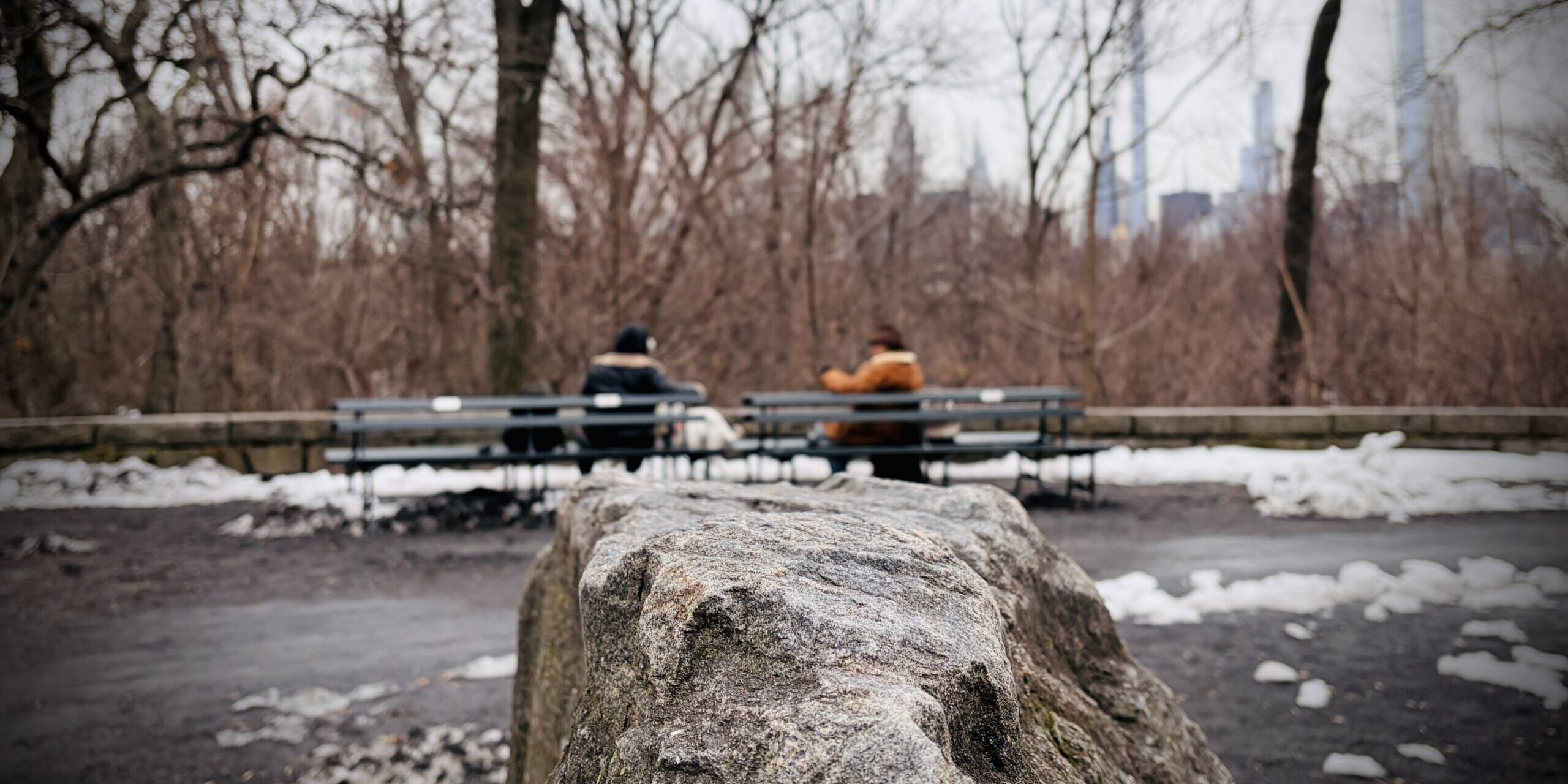 All That the Ice Leaves Behind