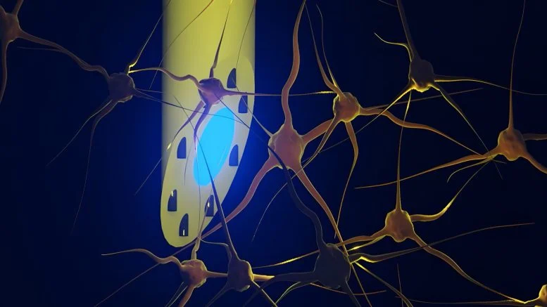 A Needle-Thin Implant Could Transform How Scientists Study and Treat the Brain