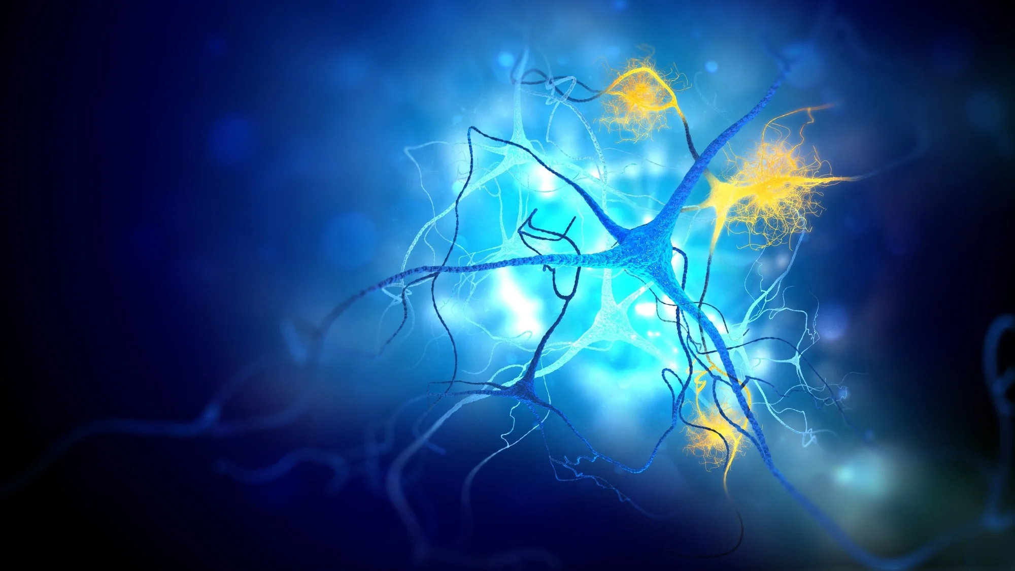 Alzheimer’s plaques decline after CAR-T immune cell treatment in preclinical study