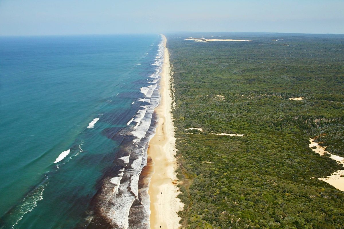 “Never seen before.” Scientists make astounding discovery on Australian island