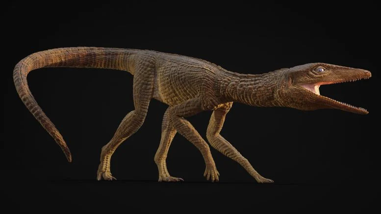 Scientists Discover Unusual Long-Legged Ancient Crocodile From 200 Million Years Ago