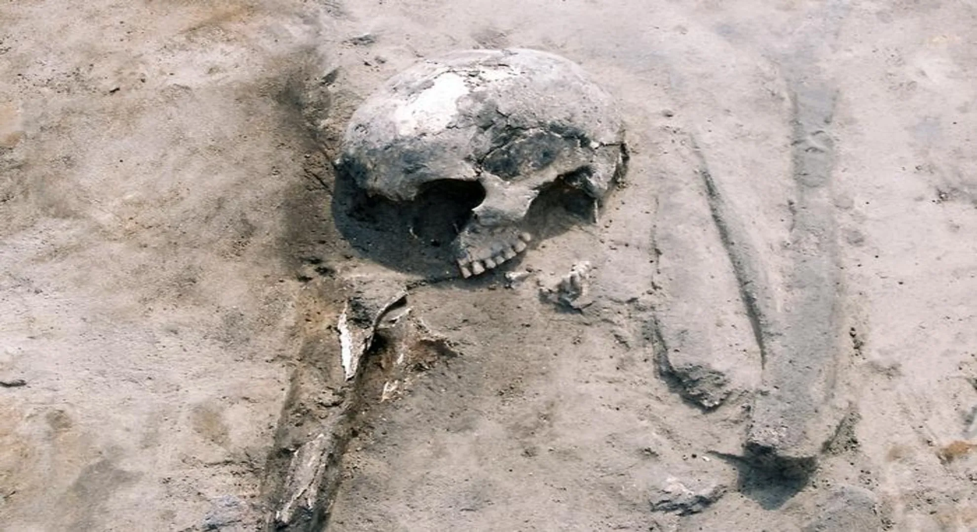 3,000-year-old genes reveal survival strategies in prehistoric Poland