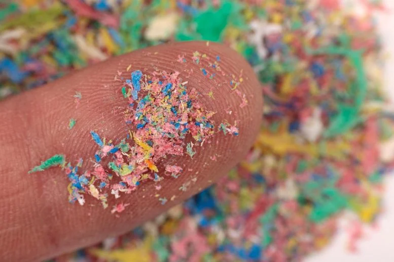 90% of Prostate Cancer Tumors Contained Microplastics