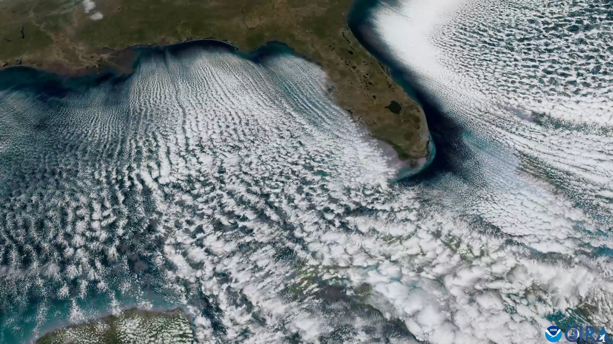 Mesmerizing ‘cloud streets’ emerge from Florida’s frigid air