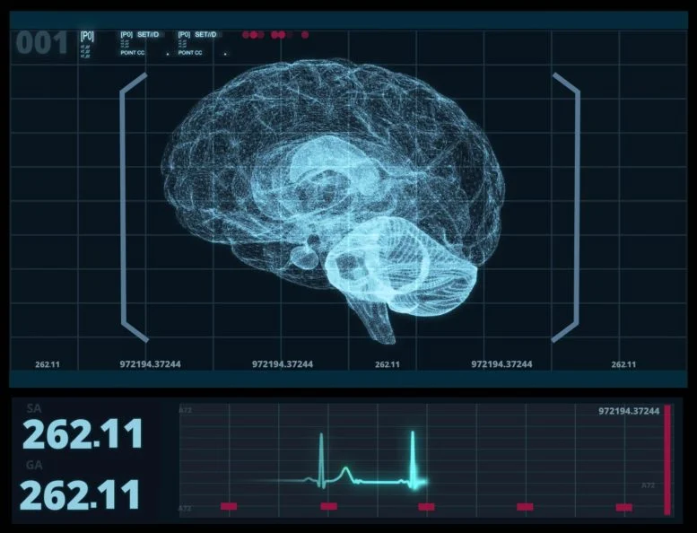This AI Diagnoses Brain Disorders in Seconds