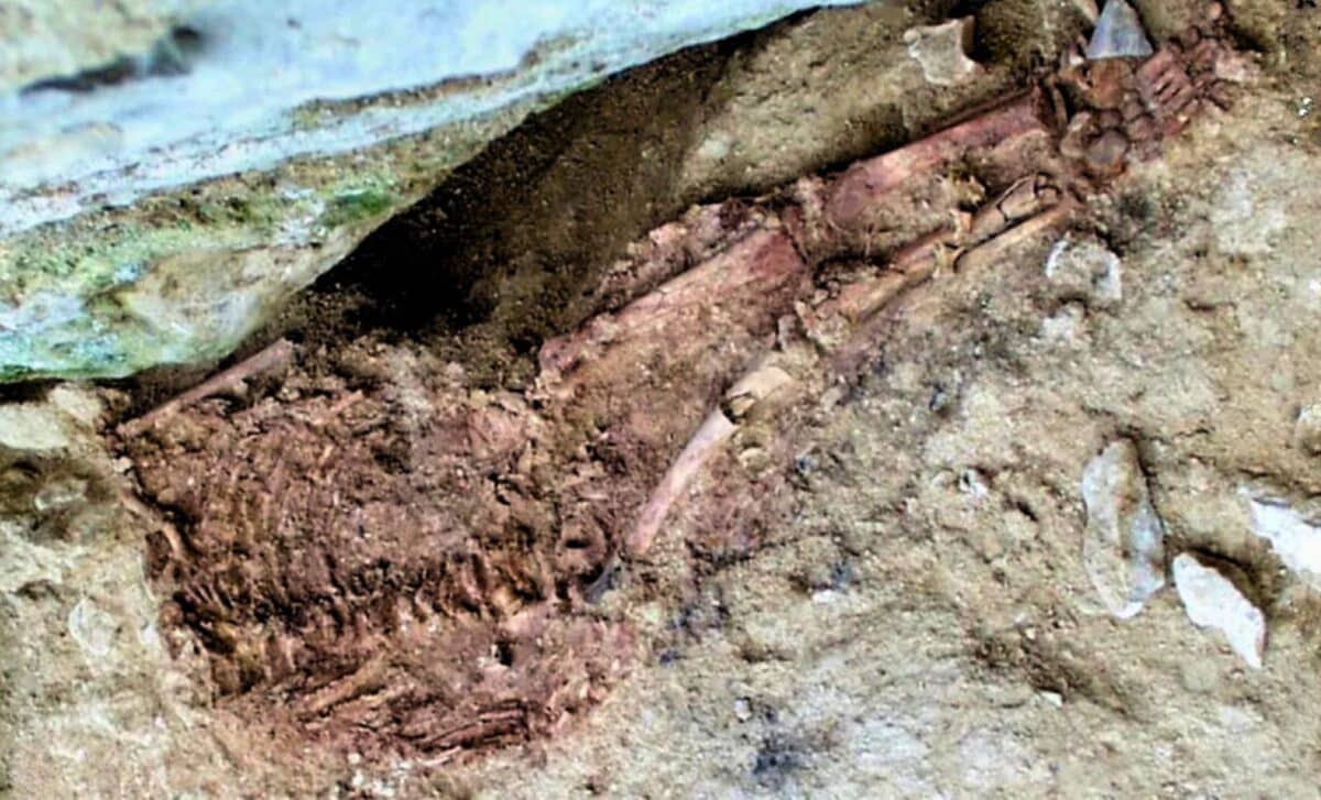 Scientists Finally Reveal the Truth About This 28,000-Year-Old Child