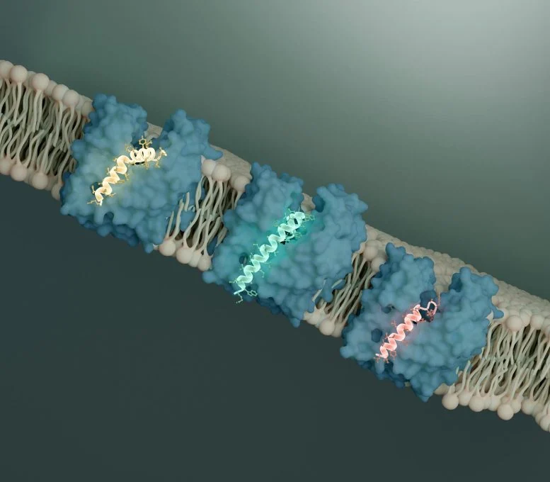 Superbugs Have a Hidden Weak Spot and Viruses Just Revealed It