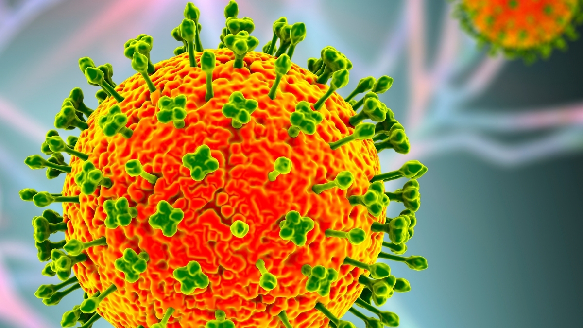 Nipah Virus Outbreak Has Asia on High Alert Amid Deaths in India : ScienceAlert