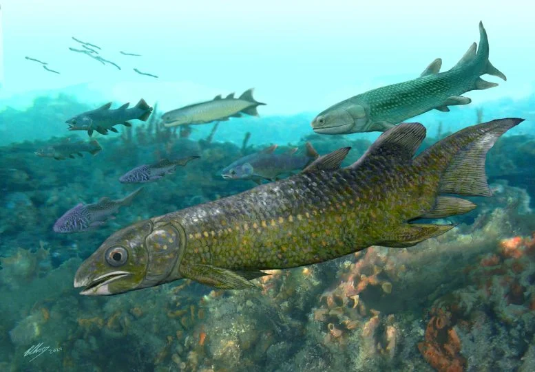 400-Million-Year-Old Fish Fossils Rewrite the Story of Life on Land