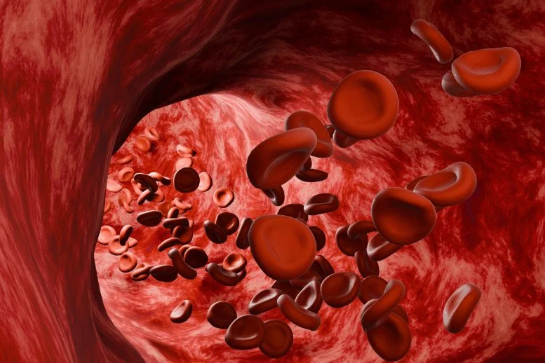 Ultramarathons May Be Aging Your Blood Cells Faster Than You Think