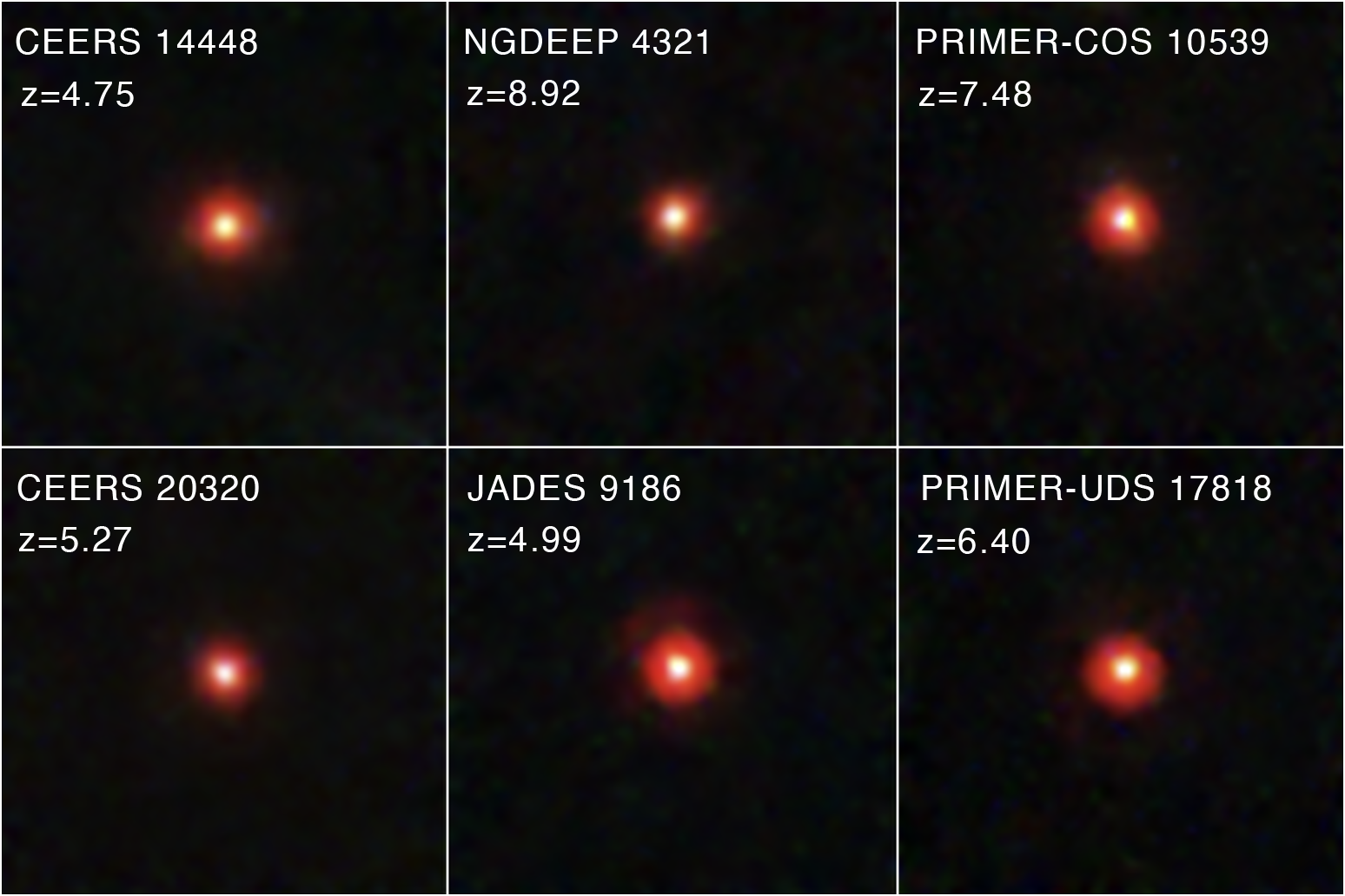 The “Little Red Dots” Observed by Webb Were Direct-Collapse Black Holes