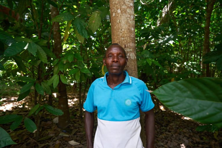 Community complaints in limbo as Socfin cuts ties with Earthworm Foundation