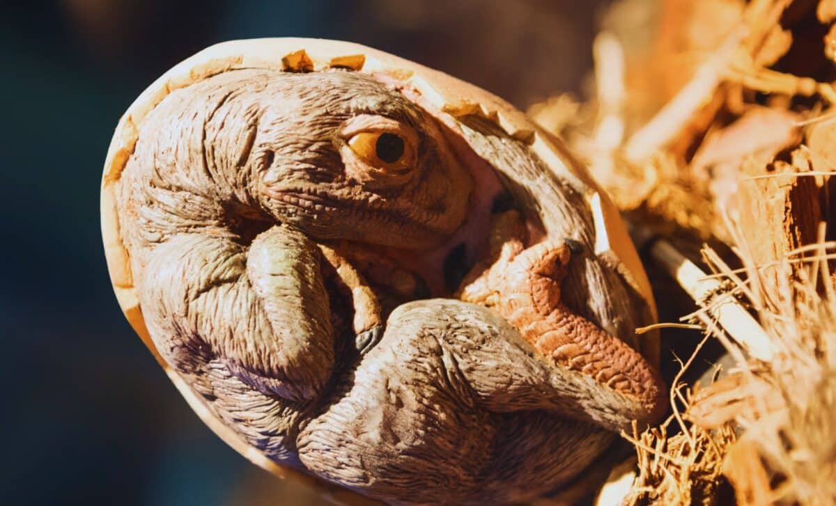 Scientists Have Uncovered Embryos Older Than Most Dinosaur Fossils, Did They Give Birth to Live Young?
