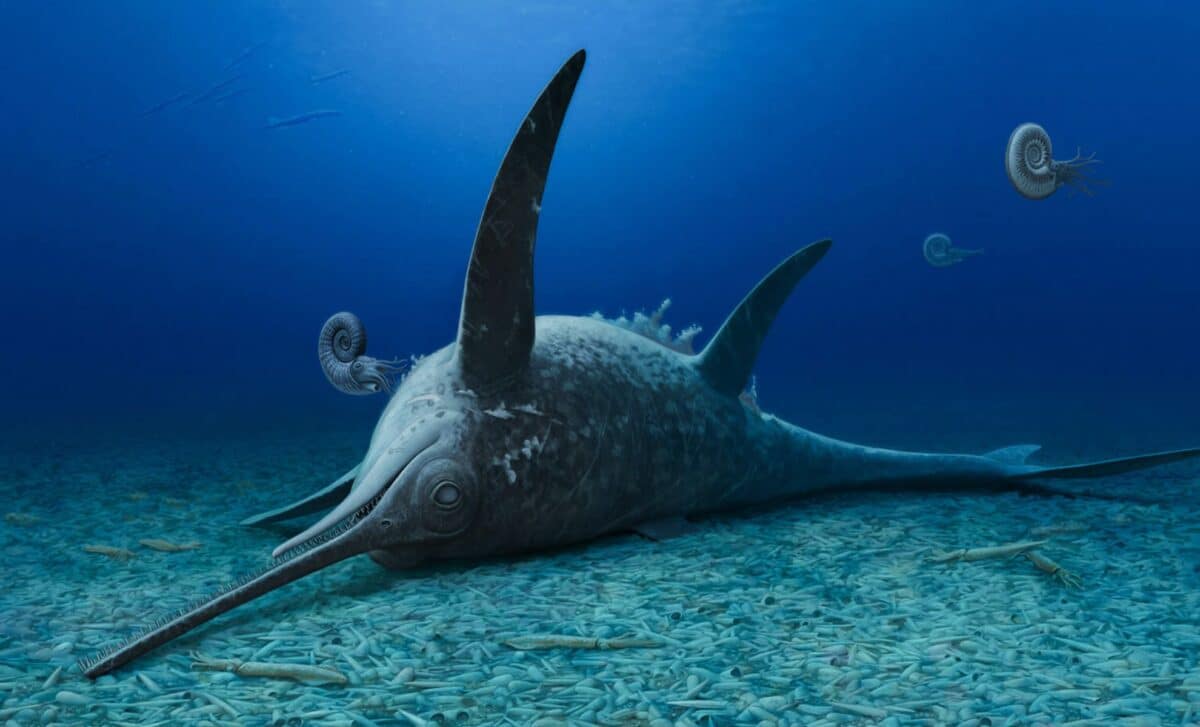 Scientists Unearth “Sword Dragon” Fossil Skeleton from UK Coast, Revealing a New Look at Prehistoric Life