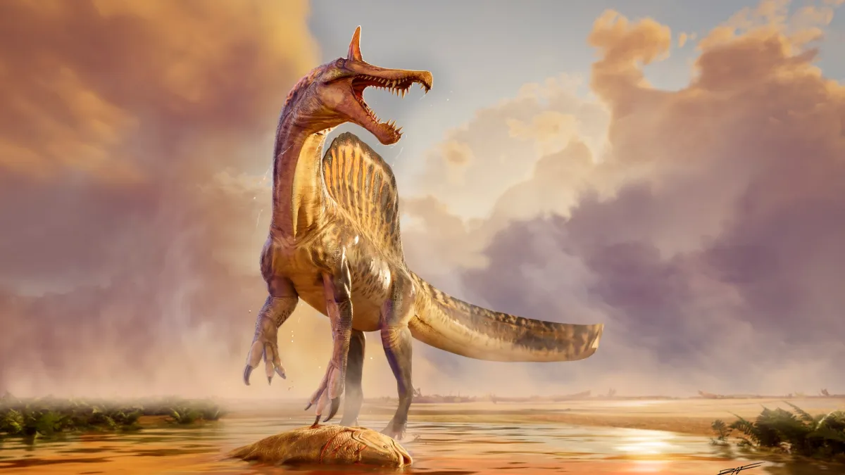 New dinosaur discovered in Sahara desert was a horned ‘hell heron’