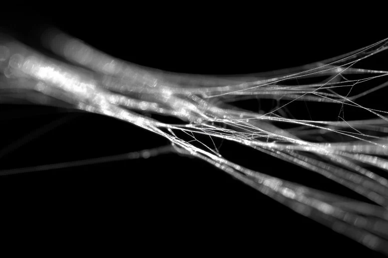 Spider Silk Is Stronger Than Steel and Now We Know Why