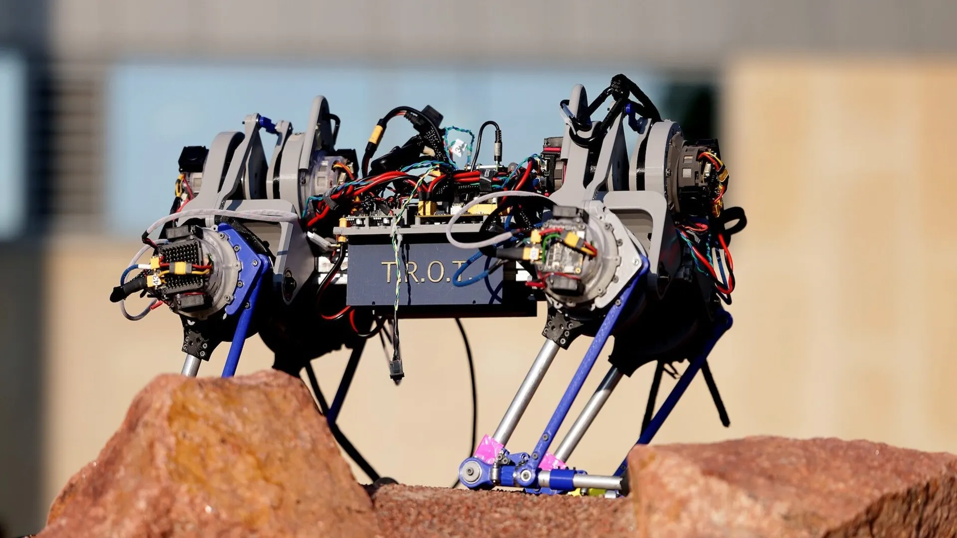 Shape-shifting modular robot fast-tracks 60 million years of evolution