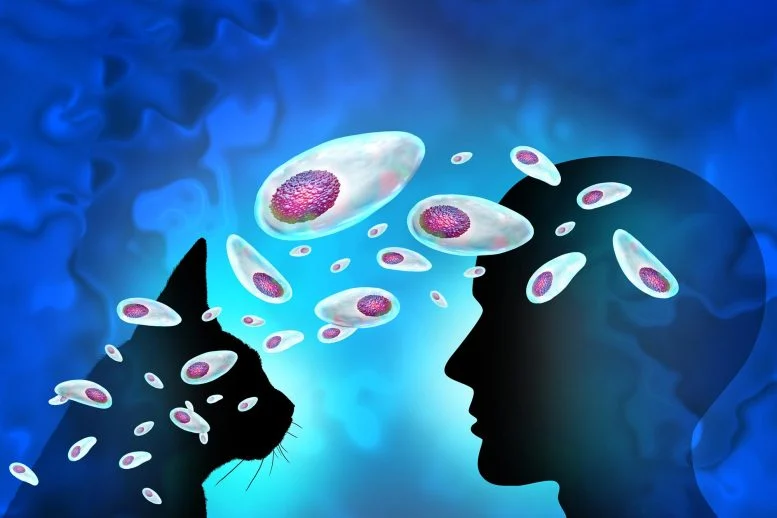 A Parasite Carried by Billions Has a Secret Life Inside the Brain