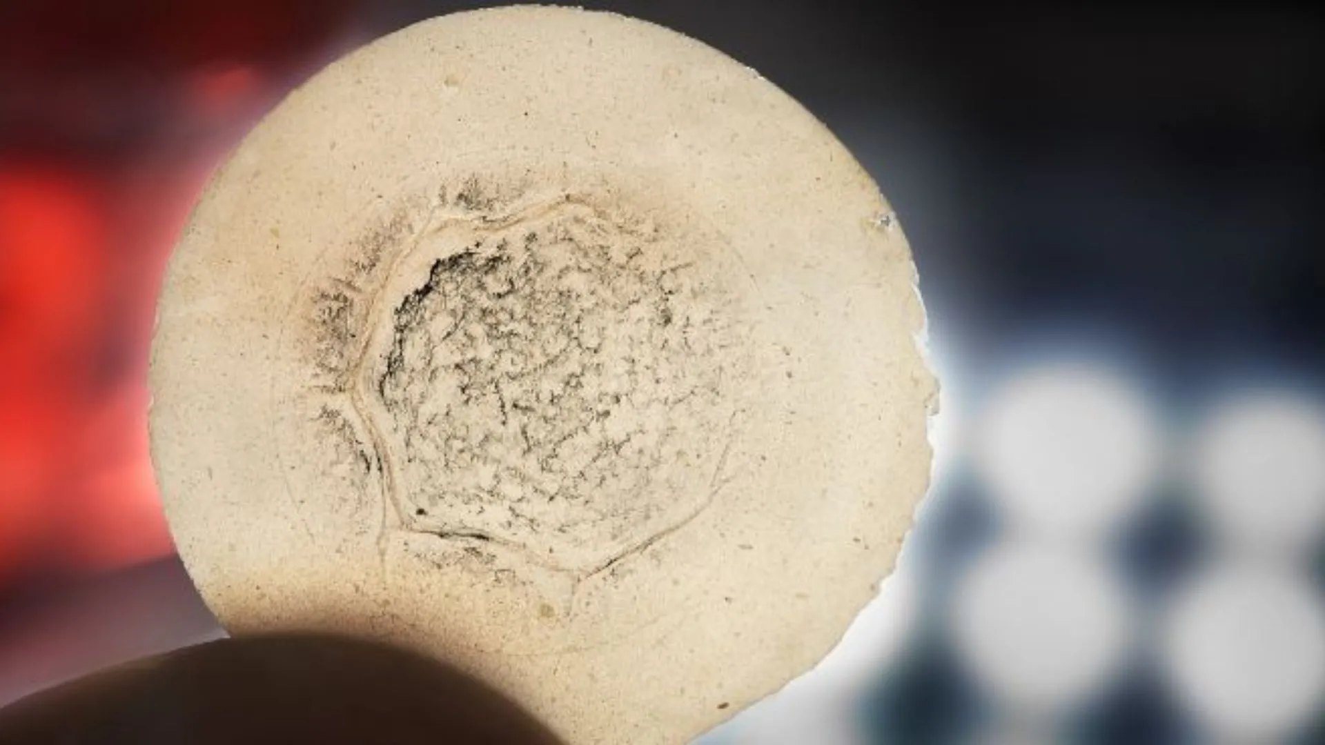 Plant-derived nanotech separates heavy rare earths more cleanly