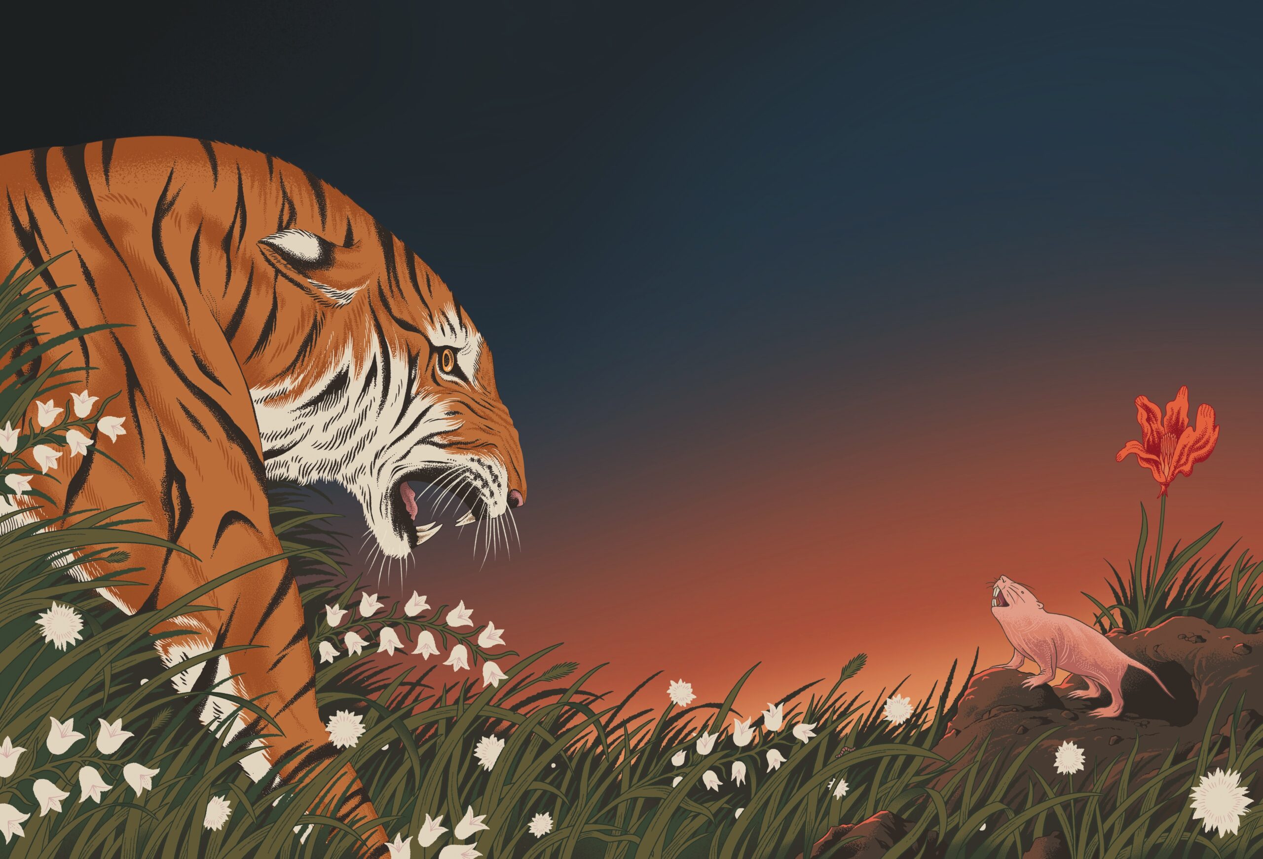 Learning about longevity from long-lived animals