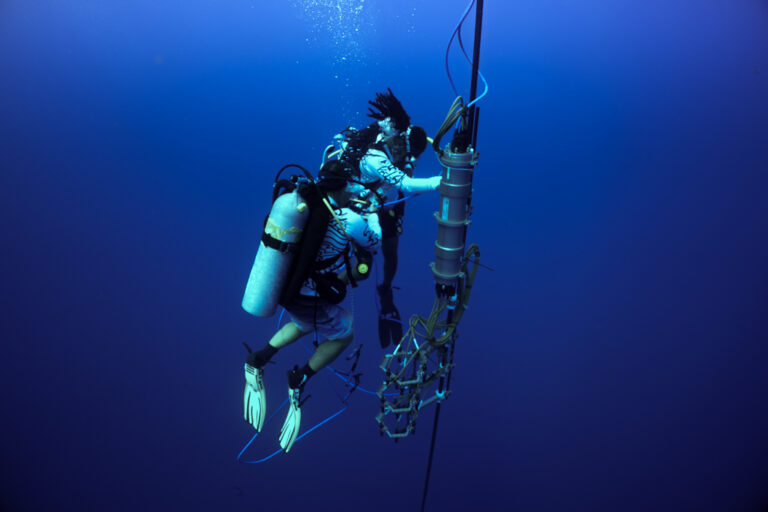 Scientists call for ethics rules as AI fuels animal communication research