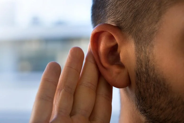 Scientists Discover Why Key Hearing Proteins Can Trigger Irreversible Deafness
